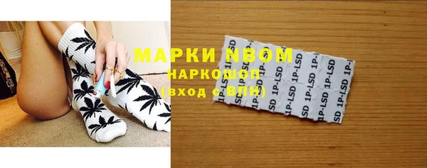 ПСИЛОЦИБИНОВЫЕ ГРИБЫ Арсеньев