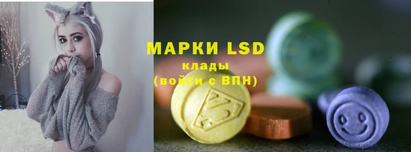 ПСИЛОЦИБИНОВЫЕ ГРИБЫ Арсеньев