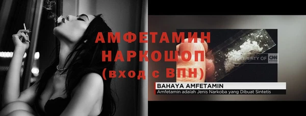 ПСИЛОЦИБИНОВЫЕ ГРИБЫ Арсеньев
