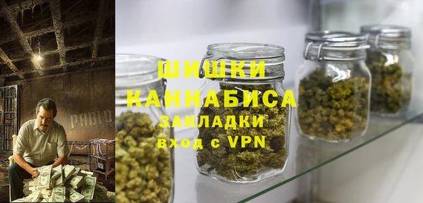 ПСИЛОЦИБИНОВЫЕ ГРИБЫ Арсеньев